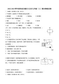 2022-2023学年吉林省白城市大安市九年级（上）期末物理试卷（含详细答案解析）