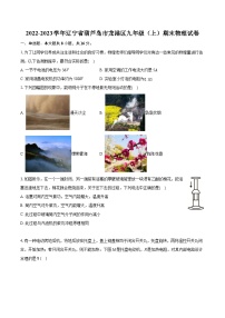 2022-2023学年辽宁省葫芦岛市龙港区九年级（上）期末物理试卷（含详细答案解析）