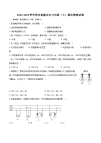 2022-2023学年河北省衡水市九年级（上）期末物理试卷（含详细答案解析）