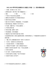2022-2023学年河北省廊坊市大城县九年级（上）期末物理试卷（含详细答案解析）