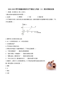 2022-2023学年福建省福州市平潭县九年级（上）期末物理试卷（含详细答案解析）