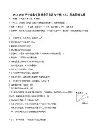 2022-2023学年山东省临沂市罗庄区九年级（上）期末物理试卷（含详细答案解析）