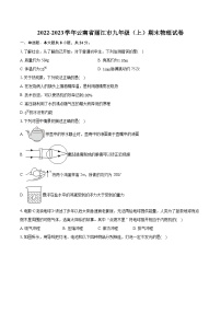 2022-2023学年云南省丽江市九年级（上）期末物理试卷（含详细答案解析）