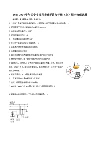 2023-2024学年辽宁省沈阳市康平县九年级（上）期末物理试卷（含详细答案解析）'