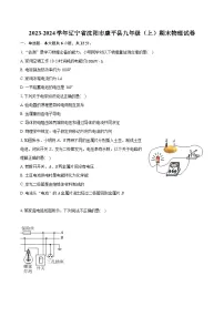 2023-2024学年辽宁省沈阳市康平县九年级（上）期末物理试卷（含详细答案解析）'