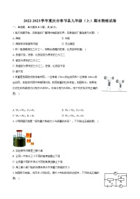 2022-2023学年重庆市奉节县九年级（上）期末物理试卷（含详细答案解析）