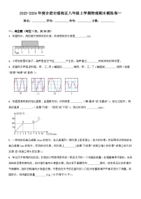2023-2024年度合肥市瑶海区八年级上学期物理期末模拟卷