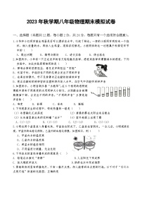 江苏省阜宁县实验初级中学2023-2024学年上学期八年级物理期末模拟试卷