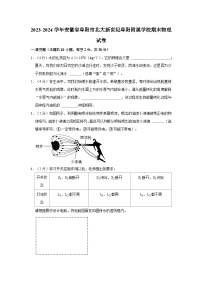 安徽省阜阳市北大新世纪阜阳附属学校2023-2024学年九年级上学期期末物理试卷