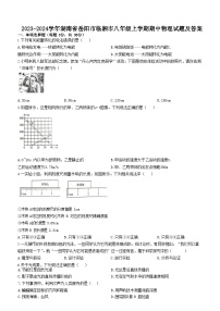 2023-2024学年湖南省岳阳市临湘市八年级上学期期中物理试题及答案