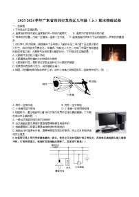 2023-2024学年广东省深圳市龙岗区九年级（上）期末物理试卷（含解析）