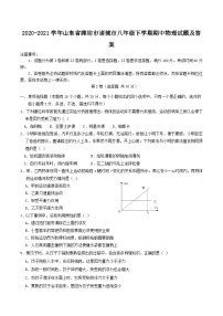 2020-2021学年山东省潍坊市诸城市八年级下学期期中物理试题及答案