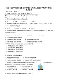 2021-2022学年湖北省襄阳市谷城县石花镇八年级上学期期中物理试题及答案