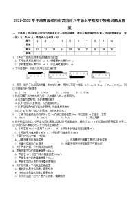 2021-2022学年湖南省邵阳市武冈市八年级上学期期中物理试题及答案