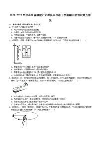 2021-2022学年山东省聊城市阳谷县八年级下学期期中物理试题及答案