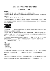 河南省周口市项城市多校联考2023-2024学年九年级上学期期末物理试题(无答案)