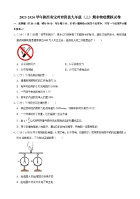 陕西省宝鸡市陇县2023-2024学年九年级上学期期末物理模拟试卷