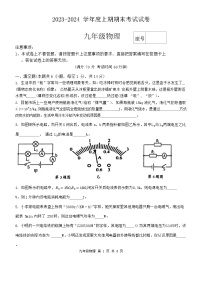 河南省周口市郸城县等校2023-2024学年九年级上学期1月期末物理试题