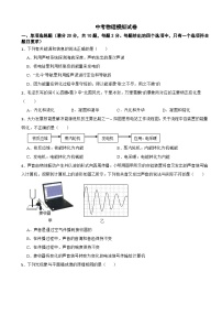 山东省青岛市2024年中考物理一模试卷附答案
