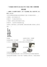 广东省湛江市雷州市2023-2024学年八年级上学期1月期末物理模拟试题（含答案）