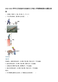 2022-2023学年江苏省扬州市高邮市九年级上学期物理期末试题及答案