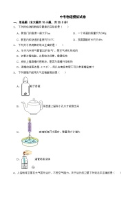 广东省深圳市龙岗区2024年中考物理模拟试题附答案