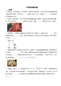 河南省南阳市2024年中考模拟物理试题附答案