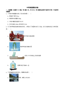 江苏省南京市雨花台区2024年中考物理模拟试卷附答案