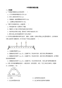 山东省济宁2024年中考模拟物理试题附答案