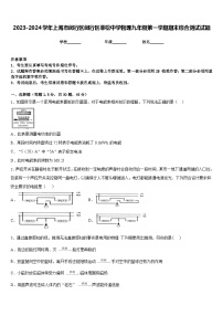 2023-2024学年上海市闵行区闵行区莘松中学物理九年级第一学期期末综合测试试题含答案