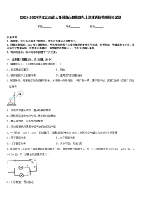 2023-2024学年云南省大理州巍山县物理九上期末达标检测模拟试题含答案