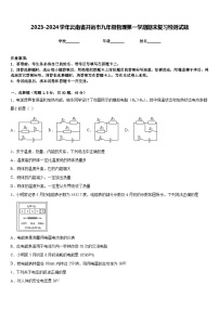 2023-2024学年云南省开远市九年级物理第一学期期末复习检测试题含答案