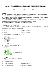 2023-2024学年云南省普洱市名校物理九年级第一学期期末复习检测模拟试题含答案