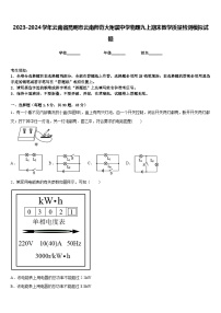 2023-2024学年云南省昆明市云南师范大附属中学物理九上期末教学质量检测模拟试题含答案