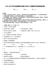 2023-2024学年云南省曲靖市沾益区大坡乡九上物理期末质量跟踪监视试题含答案