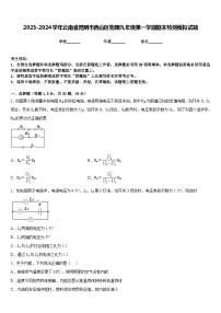 2023-2024学年云南省昆明市西山区物理九年级第一学期期末检测模拟试题含答案