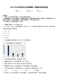 2023-2024学年北京市九年级物理第一学期期末达标检测试题含答案