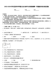 2023-2024学年北京市中学国人民大附中九年级物理第一学期期末综合测试试题含答案