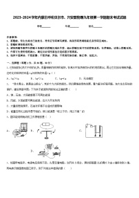 2023-2024学年内蒙古呼伦贝尔市、兴安盟物理九年级第一学期期末考试试题含答案