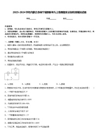 2023-2024学年内蒙古赤峰宁城县联考九上物理期末达标检测模拟试题含答案