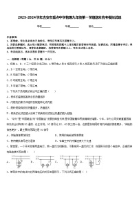 2023-2024学年吉安市重点中学物理九年级第一学期期末统考模拟试题含答案