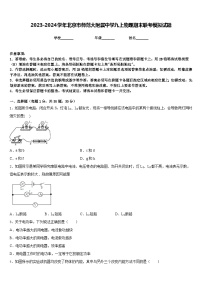 2023-2024学年北京市师范大附属中学九上物理期末联考模拟试题含答案