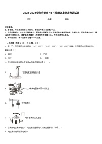 2023-2024学年合肥市45中物理九上期末考试试题含答案