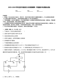 2023-2024学年北京市海淀区九年级物理第一学期期末考试模拟试题含答案