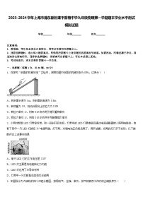 2023-2024学年上海市浦东新区建平香梅中学九年级物理第一学期期末学业水平测试模拟试题含答案