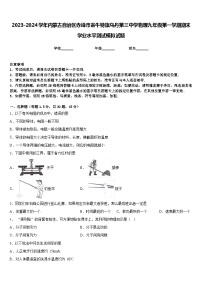 2023-2024学年内蒙古自治区赤峰市翁牛特旗乌丹第三中学物理九年级第一学期期末学业水平测试模拟试题含答案