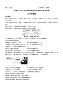 陕西省渭南市韩城市2023-2024学年九年级上学期学业水平检测物理试题