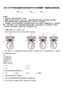 2023-2024学年四川省南充市高坪区高坪中学九年级物理第一学期期末达标检测试题含答案