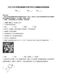 2023-2024学年四川省成都七中育才学校九上物理期末达标检测试题含答案