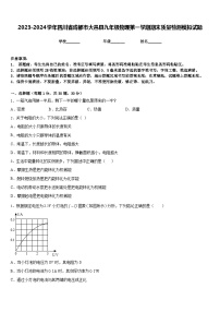 2023-2024学年四川省成都市大邑县九年级物理第一学期期末质量检测模拟试题含答案